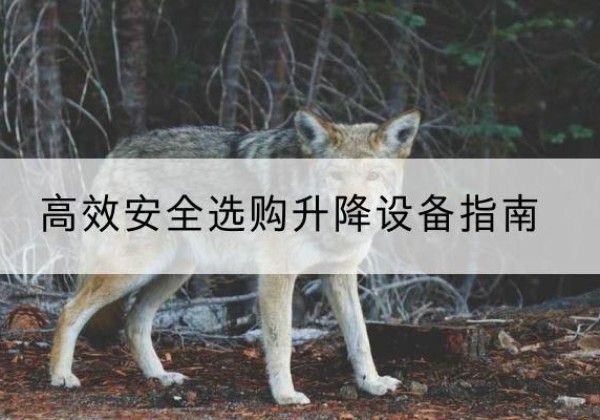 招远升降货梯厂家推荐-*安全选购升降设备指南
