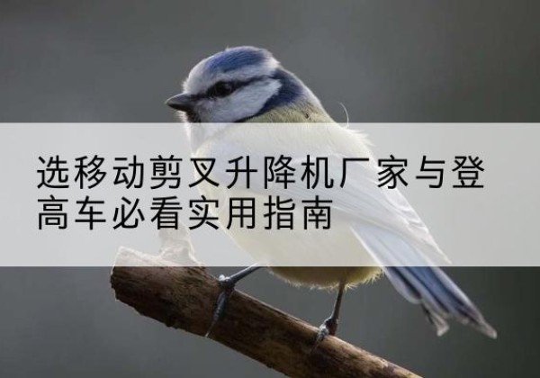 招远电动升降机厂家-选移动剪叉升降机厂家与登高车必看实用指南