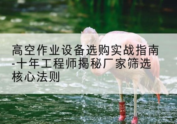 招远剪叉式升降机厂家-高空作业设备选购实战指南-十年工程师揭秘厂家筛选核心法则